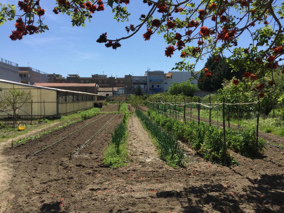 Ortosalato Agricamping Torregrotta Екстер'єр фото